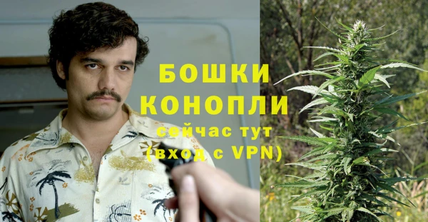 стафф Богородск