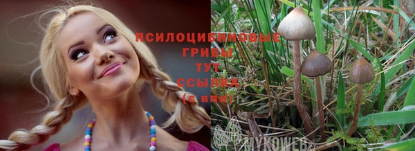 стафф Богородск
