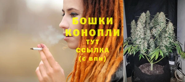 стафф Богородск