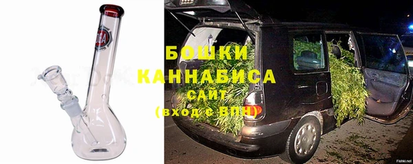 эйфоретик Богданович